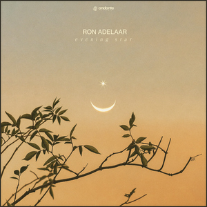 japan雪白丰满的肉体HD
